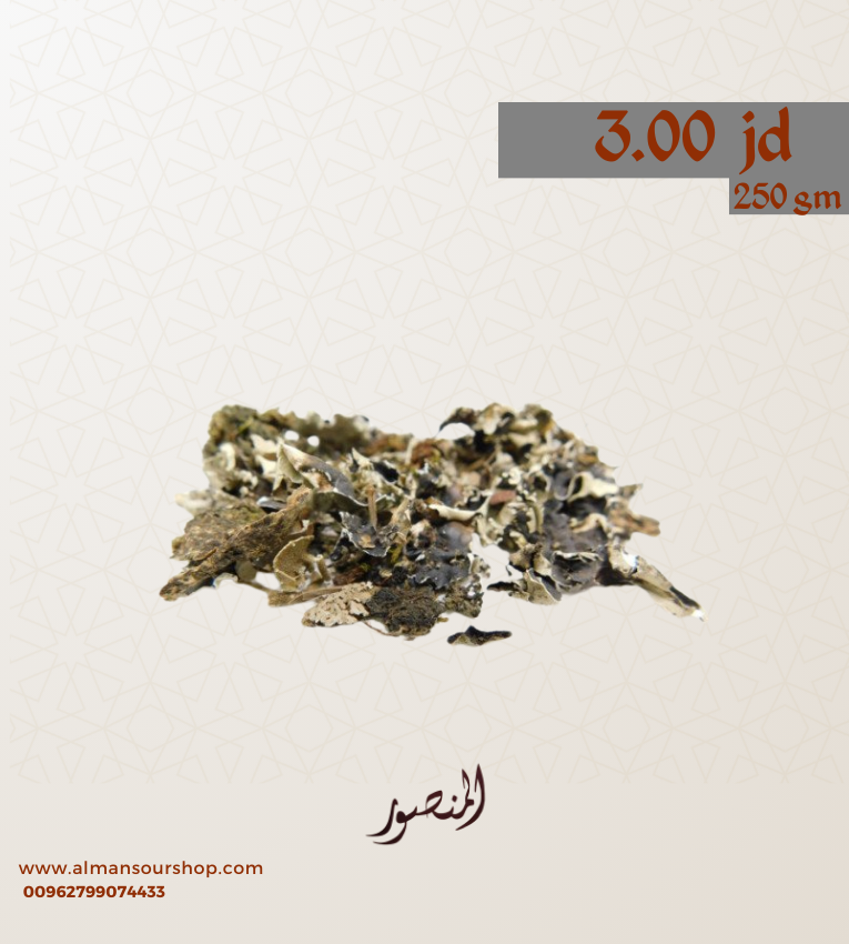 شيبه